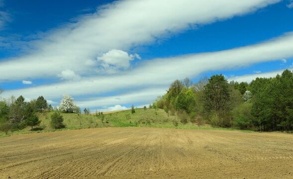 Spring sunny landscapes in Podlasie