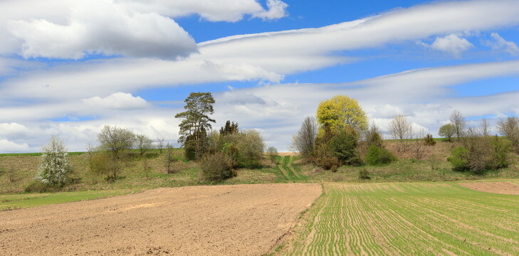 Spring sunny landscapes in Podlasie