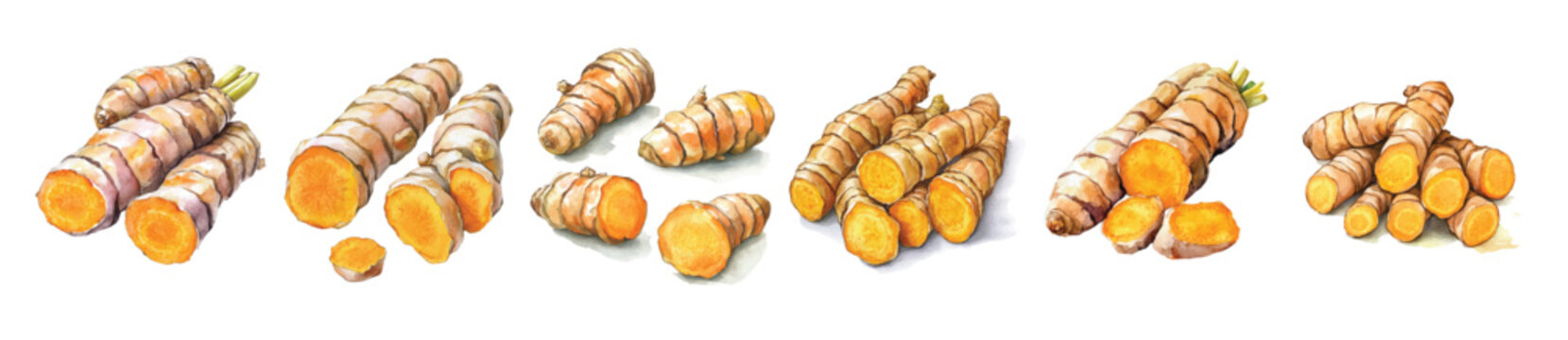 Collection of turmeric root painting, Minimal yet artistic elements for creative designs. hand-drawn paint, Simple Illustration, A beautiful painting isolated on a white background