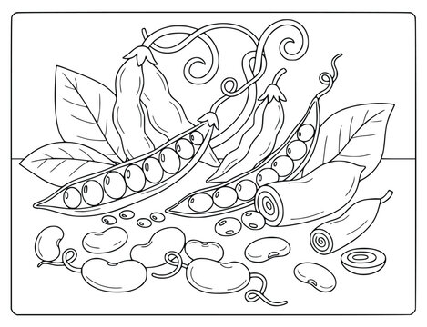Coloring book page with open pea pods and organic beans for children to paint