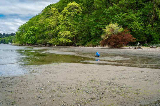Beach Park Shoreline 2
