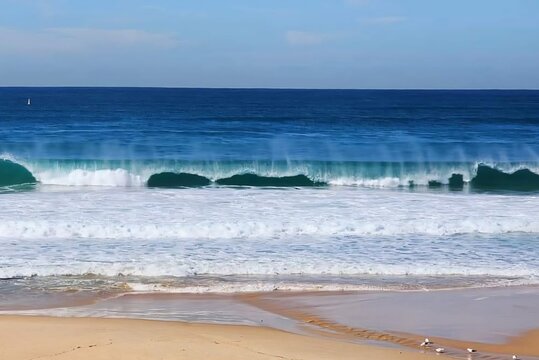 Sydney, Australia - Ocean Waves Breaking on Sandy Shore with Seabirds, Blue Water and Clear Sky in Scenic Coastal Landscape and Relaxed Beach Atmosphere.
