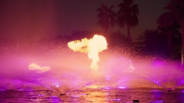 Dramatic fire and water fountain show illuminated by vibrant purple LED lights in Dubai. Flames burst from water jets while palm trees silhouette against the night sky creating a mesmerizing display.