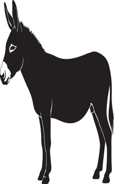 An isolated black silhouette vector illustration of a wild donkey or farm animal mammal standing alone on a white background