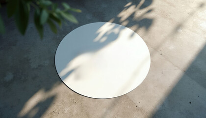 Naklejka premium Round white sticker on concrete floor with plant shadows and leaves. Suitable for marketing or design mockups. Minimalist background for product placement.