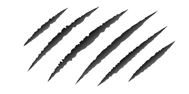 claw slash marks silhouette on black background
