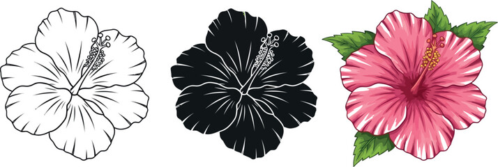 Three different colored hibiscus flowers with leaves on white background © vector