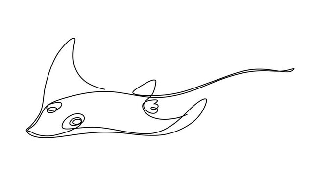 Single continuous line drawing of adorable stingray for logo nautical identity,  Elegant Manta Ray in Continuous Line Art, A Minimalist Marine, saltwater fish mascot concept. Stingray fish, manta, sea