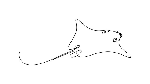 Single continuous line drawing of adorable stingray for logo nautical identity,  Elegant Manta Ray in Continuous Line Art, A Minimalist Marine, saltwater fish mascot concept. Stingray fish, manta, sea