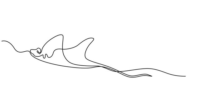 Single continuous line drawing of adorable stingray for logo nautical identity,  Elegant Manta Ray in Continuous Line Art, A Minimalist Marine, saltwater fish mascot concept. Stingray fish, manta, sea