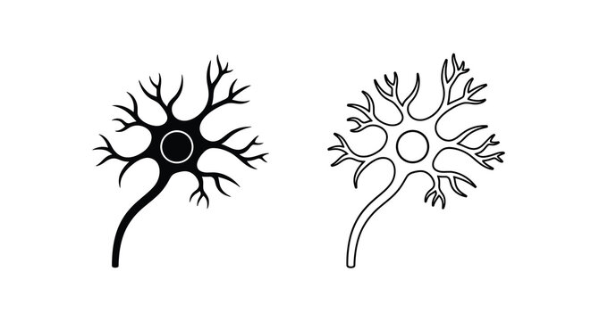 Detailed illustration of two neurons with dendrites and axons