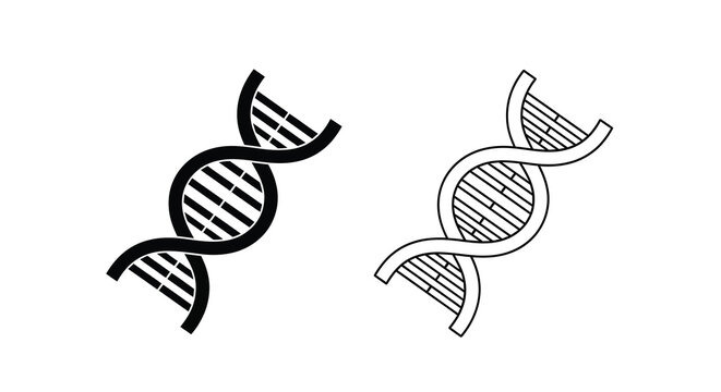 Dna double helix illustration two black and white sketches of genetic structure