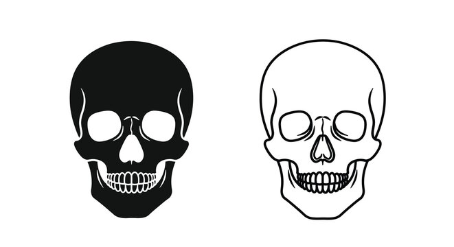 Two skull illustrations a black silhouette and a white line drawing