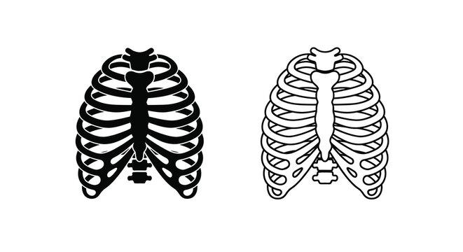 Anatomical illustration of the human rib cage front and side views