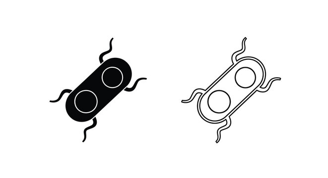 Two depictions of a diplococcus bacterium one solid and one outlined for scientific illustration