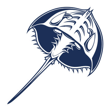 Horseshoe Crab Marine Arthropod Vector Graphic Illustration