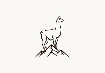 Minimalist llama standing on mountain peak line art illustration © sri