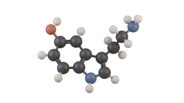 3D Rendering of Serotonin Molecule Structure on White Background, 5-HT Neurotransmitter Ball and Stick Model for Science, Chemistry, Medical Research, Mental Health, Brain Hormone Education, Emotion