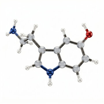 3D Molecular Model of Serotonin Chemical Structure, Neurotransmitter 5-HT Hormone for Happiness and Mood Regulation, Scientific Visualization of Biochemistry Molecule on White Background, Neurology