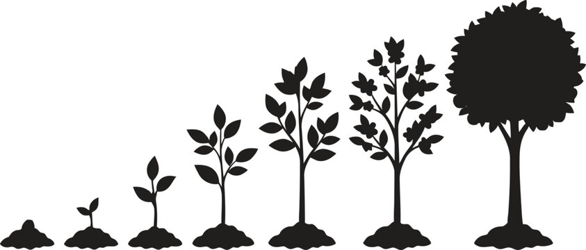 Black silhouette icons showing the growth stages of a tree from a small seed to a mature plant in a simple linear style