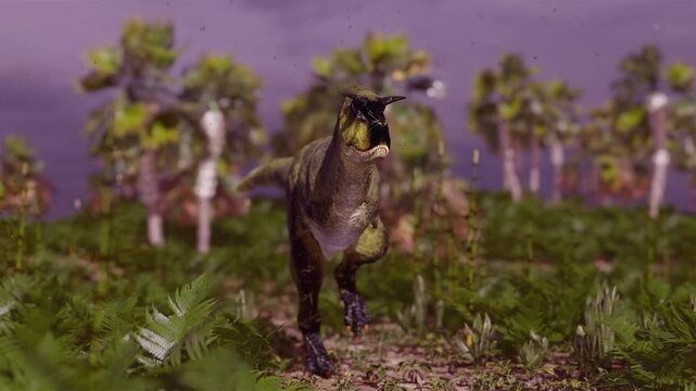 4k 3d animation of Carnotaurus dinosaur strides through a dense prehistoric jungle of ferns and palm trees.