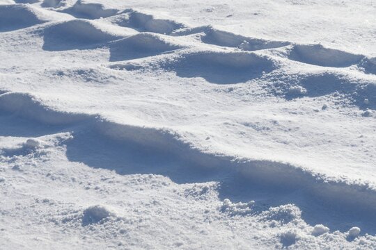 Snowdrift Footprints in Fresh Snow
