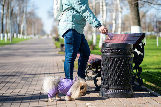 Responsible owner throwing bag with dog poop into public trash can