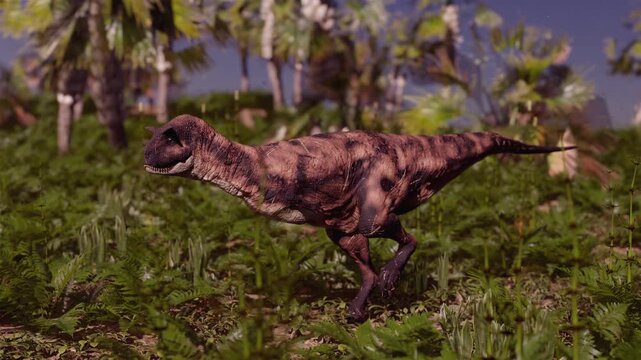 4k 3d animation of Carnotaurus dinosaur strides through a dense prehistoric jungle of ferns and palm trees.