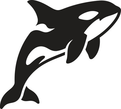 Black orca, killer whale silhouette, ocean mammal, vector icon