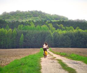 Obraz premium Woman biking through green summer forest