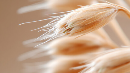 Fototapeta premium Plantable seed paper close up, illustrating sustainable stationery concept and eco friendly products for a green future, showing natural textures of a plant based gift
