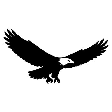 Simple Vector Illustration of a Flying Bald Eagle Raptor