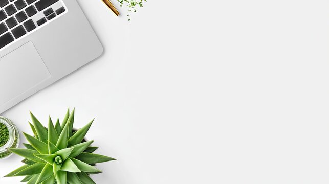 Minimalist overhead view displays electronic device and potted succulent plant on clean surface