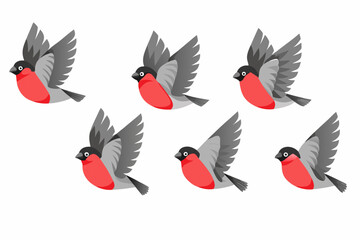 Obraz premium Bullfinch flight sequence six frame animation vector illustration on white background