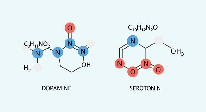 Chemical structures of dopamine and serotonin neurotransmitters