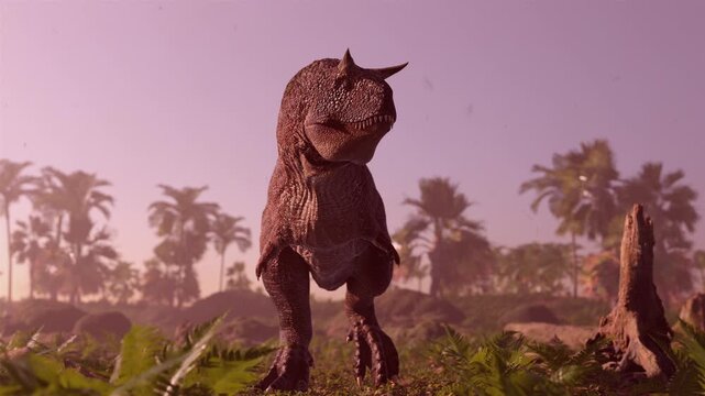 Cinematic 3D animation of a Carnotaurus dinosaur walking and roaring in a prehistoric jungle. Realistic predator in a tropical environment with palms and ferns. High-quality scientific CGI