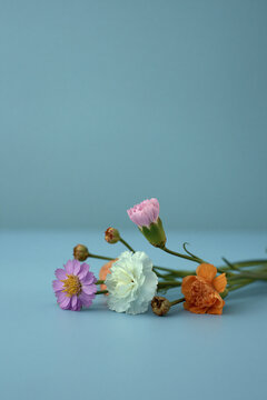 Arrangement of fresh and dried flowers on a serene light blue backdrop.