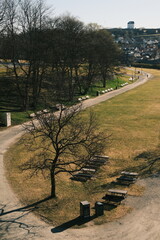 Naklejka premium Park in Trondheim by the river