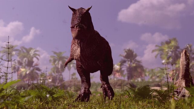Cinematic 3D animation of a Carnotaurus dinosaur walking and roaring in a prehistoric jungle. Realistic predator in a tropical environment with palms and ferns. High-quality scientific CG