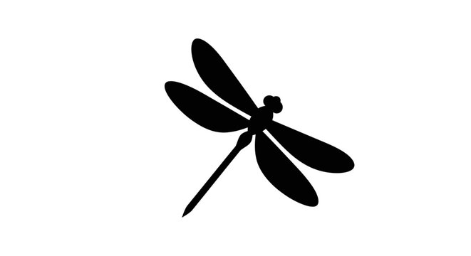 Black dragonfly icon, insect silhouette, vector graphic, dragon fly symbol