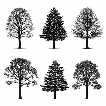Six tree silhouettes detailed line art on a white background