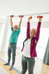 Naklejka premium Senior couple exercise stretching and exercising with dumbbell lifting weigth at home health care