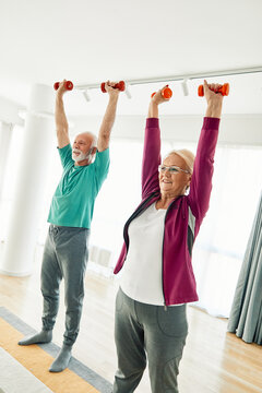 Senior couple exercise stretching and exercising with dumbbell lifting weigth at home health care
