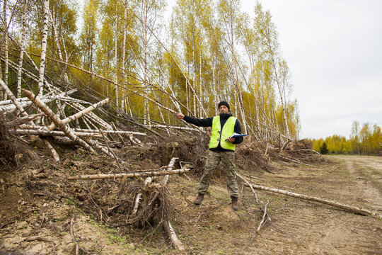 A conservation inspector points to ruined trees.