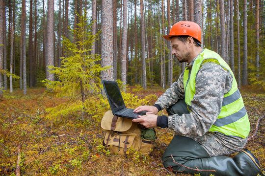 A forest engineer works in the forest with a computer.