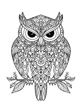 Zentangle Owl Coloring Page, Zen Art Owl Coloring Page, Owl Coloring book, Bird Coloring Page