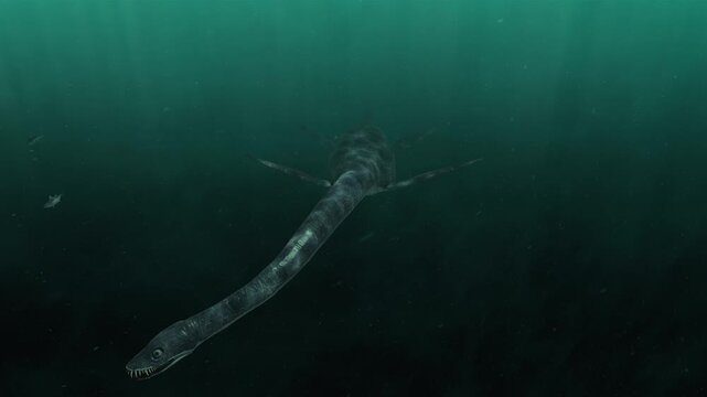 4k 3d animation of Elasmosaurus glides through the deep turquoise depths of a prehistoric ocean, its sharp teeth bared in the emerald abyss