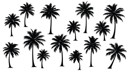 Fototapeta premium Black silhouette collection of tropical palm trees in various shapes and sizes on white background