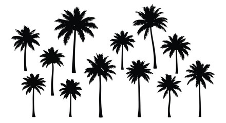 Obraz premium Black silhouette of tropical palm trees group against white background for summer designs