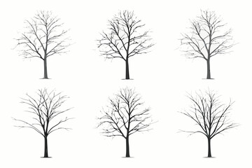 Fototapeta premium Bare tree silhouettes six variations on a white background